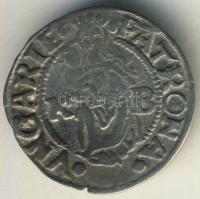 1545. Denár Ag I.Ferdinánd T:3+