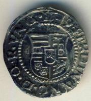 1549. Denár Ag I.Ferdinánd T:2/3+