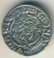 1549. Denár Ag I.Ferdinánd T:3