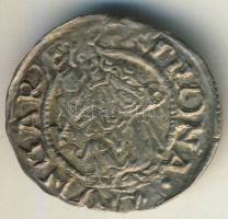 1558. Denár Ag I.Ferdinánd T:2/3+