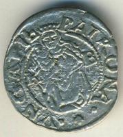 1561. Denár Ag I.Ferdinánd T:3