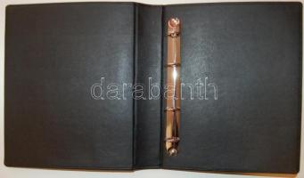 14db gyűrűs albumborító