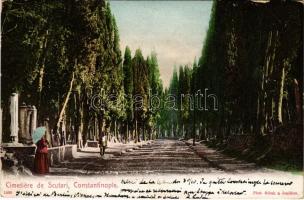 1906 Constantinople, Istanbul; Cimitiere de Scutari / cemtery (EB)