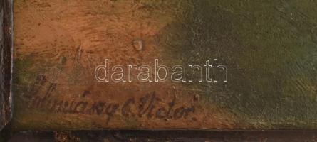 Solymássy (?) C. Victor jelzéssel: Vízparti. Olaj, karton. Kissé sérült fakeretben. 25x33,5 cm