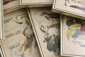 1951-1966 Eliezer Shamali (1901-1985): A mi gyönyörű földünk, Állatokról és növényekről szóló történ...