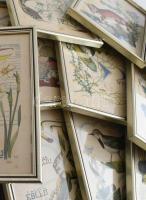 1951-1966 Eliezer Shamali (1901-1985): A mi gyönyörű földünk, Állatokról és növényekről szóló történ...