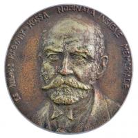 DN De Iulius Magyary-Kossa nominata insigne memoriale öntött, kétoldalas Br emlékplakett (115mm) T:2