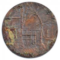 DN "De Iulius Magyary-Kossa nominata insigne memoriale" öntött, kétoldalas Br emlékplakett...