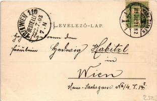 1903 Szebenjuharos, Hohe Rinne, Paltinis; gyógyház, nyaraló / Kurhaus auf der Hohen Rinne / sanatori...