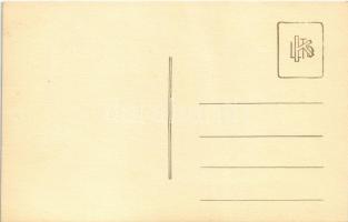 Budapest V. Országház, Parlament, "LIII", "LII" és "LI" sétahajók. pho...