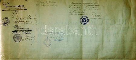 1923 Orvosi diploma Pekár Mihály kutatóorvos és Kérész Zoltán tudósok aláírásával