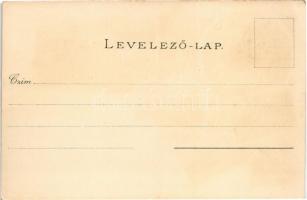 Debrecen, Csikós lóháton, Csokonai szobor, Piac utca, villamos, Kereskedelmi Akadémia, Színház, temp...