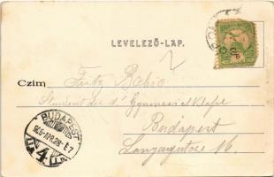 1905 Budapest XXIII. Soroksár, Stark István vendéglője. Nesinszky Ödön kiadása (EK)