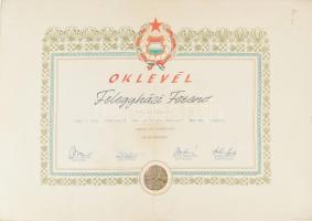 1972 Felszolgáló oklevél a Pest-Buda egyesítésének 100. évfordulója alkalmából rendezett versenyen Kiváló Ifju Szakmunkás c. elnyeréséért, hajtott, 33x47 cm