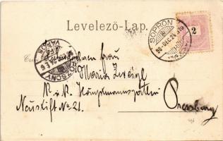 1898 (Vorläufer) Sopron, M. kir. Honvédfőreáliskola. L.F. Kummert 2486. floral, litho (EK)