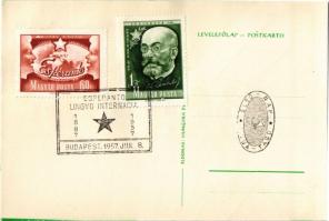 Pacon por la Homaro / Peace for Humanity. Esperanto propaganda art postcard "1887-1957 Esperant...