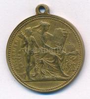 1896. "Milleniumi emlék / Ferenc József" Br emlékérem füllel, szalag nélkül (30mm) T:2-