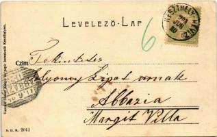 1904 Keszthely, Úszóverseny. Vasvári József kiadása + "KESZTHELY-HÉVÍZ 10" (EK)