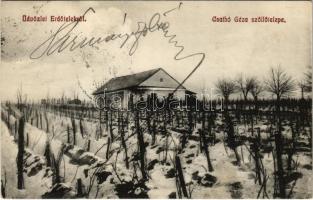 1913 Erdőtelek (Heves), Csathó Géza szőlőtelepe télen (fl)