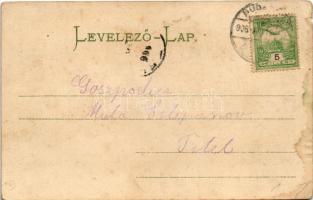 1906 Budapest V. Fővárosi vigadó. Montázs urakkal és hölgyekkel (szakadás / tear)