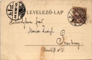 1901 Sopron, Oedenburg; Neuhof, park és pavilon. L. Kummert No. 147. (EK)