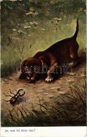 1912 Ja, was ist denn das? / Dog with beetle (EK)