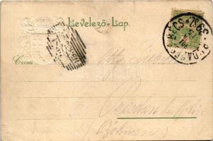 1901 Budapest VII. Erzsébet körút, villamosok, New York palota. Dombornyomott magyar címeres képesla...