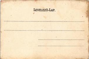 Marosvásárhely, Targu Mures; Részlet a Széchenyi utcából, piac. Petróczy G. 1905. / market square (f...