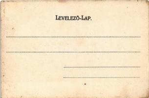 Marosvásárhely, Targu Mures; Lelencház. Petróczy G. 1905. / orphanage (fl)