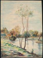 Jelzés nélkül (Edvi Illés Ödön?): Vízparti őszi táj. Akvarell, papír, 27x20 cm