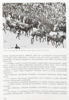 A Közlekedési Múzeum évkönyve II-III. köt. II. köt.: 1972-1973. III. köt.: 1974-1975. Szerk.: Czére ...