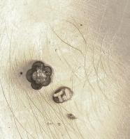 Ezüst (Ag) Teás csésze aljjal 12 db, porcelán betéttel (10 db) (részben jelzett: Aquincum Hüttl Tiva...