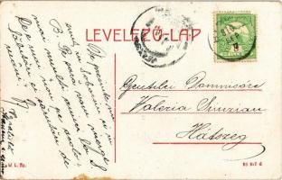 1910 Soborsin, Savarsin; Fasor, Hunyady gróf kastélya, Fő utca, tűzoltó szertár. W.L. Bp. / castle, ...