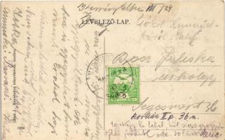 1913 Marosludas, Ludosul de Mures, Ludus; Király utca, templom, piac, Mihály Móritz üzlete. Glück J....