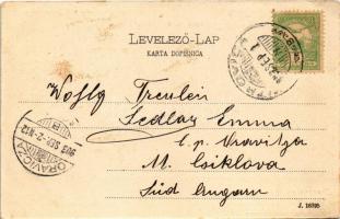 1903 Szávaszentdemeter, Mitrovice, Mitrovitz an der Save, Sremska Mitrovica; Templom utca, Szerb ház...