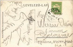 1910 Ponyászka, Poneasca (Bozovics, Bozovici); park