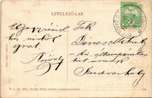 1912 Gyergyószentmiklós, Gheorgheni; Patak részlet. W.L. Bp. 6905. Sándory Mihály kiadása / creek (E...