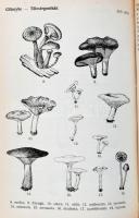 Bohus Gábor, Kalmár Zoltán, Ubrizsy Gábor: Magyarország kalaposgombáinak meghatározó kézikönyve. Bp....