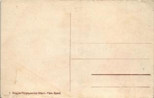 Arthur Duray repülőgépével / Aviator Arthur Duray in his Farman biplane aircraft (Rb)