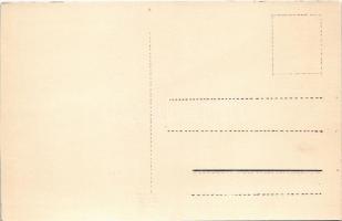 Portrait du célebre aviateur Ladougne / Emile Ladougne repülőgépében / Emile Ladougne in hise biplan...