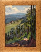 Daffinger Hanna (1883-?), 1909-ben a nagybányai szabadiskolában tanult: Erdőszéle. Olaj, karton. Jelzett. Dekoratív fakeretben. 33x24 cm.