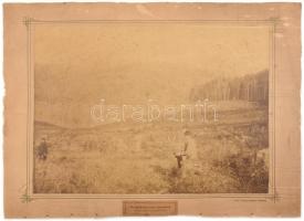 cca 1900 Besztercebánya, mezőgazdasági köztes használatok, kartonra kasírozott fotó, Klösz Budapesten sérült karton, 36,5×48 cm