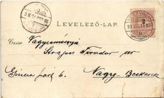 1898 (Vorläufer) Győr, Kármelita tér, zsinagóga, Regatta épület, Duna, Rába és Rápca egybefolyása. P...