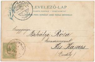 1902 Tátra, Magas-Tátra, Vysoké Tatry; Szepes megyei népviselet, folklór. Kiadja Feitzinger Ede 201....