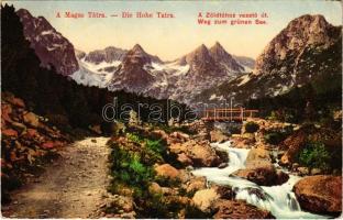 1913 Tátra, Magas-Tátra, Vysoké Tatry; A Zöld-tóhoz vezető út / Weg zum grünen See / road to the lake (EK)