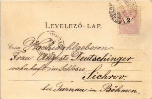 1898 (Vorläufer) Pozsony, Pressburg, Bratislava; Promenade, Maria Theresia Monument / Sétatér, vár, ...