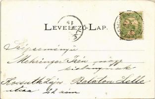 1905 Feketehegyfürdő, Feketehegy, Cernohorské kúpele (Merény, Vondrisel, Nálepkovo); Alsó sétány. Fé...