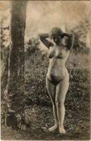 Erotikus meztelen hölgy / Erotic nude lady. Künstler Akt-Studie (non PC) (Rb)