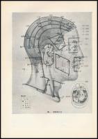 Pálos István: A hagyományos kínai orvoslás. Bp., 1963., Gondolat. Kiadói egészvászon-kötés, kiadói k...