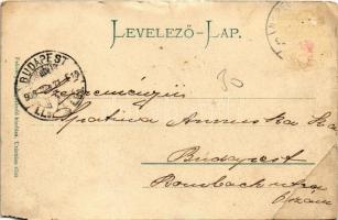 1906 Nyíregyháza, Korona szálloda, Kovács András, Szarvady Mihály üzlete, piac. Fekete kiadása (b)